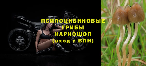 ПСИЛОЦИБИНОВЫЕ ГРИБЫ Володарск