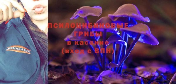 спиды Верея