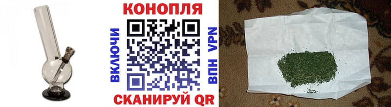 Канабис план  Гвардейск 