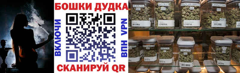 Бошки Шишки семена Гвардейск